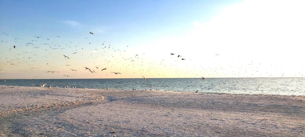 Sunset Vistas 407S Vila St. Pete Beach Exterior foto